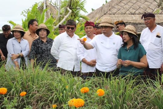 Wamendes PDTT apresiasi inovasi Desa Kertalangu-Denpasar