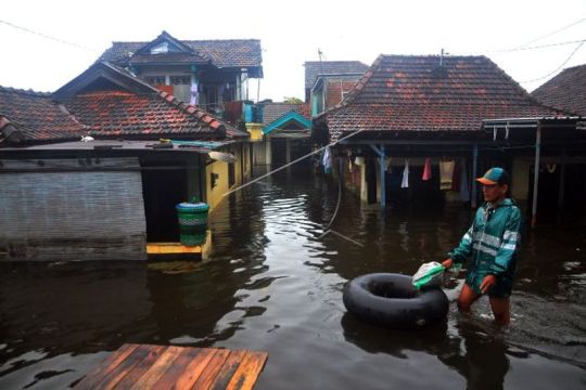 Ratusan rumah di Kudus terendam banjir Page 1 Small