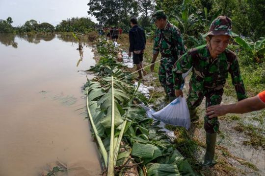 Gotong royong menambal tanggul Sungai Tuntang Page 2 Small