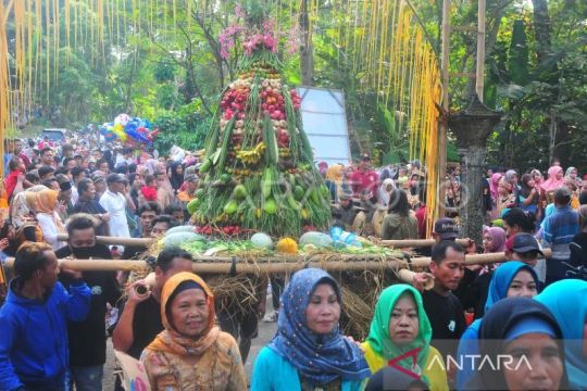 Festival Memeden Gadhu di Jepara Page 3 Small