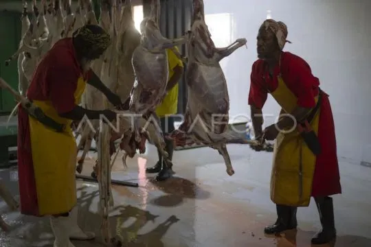 Jamaah dilarang lakukan penyembelihan Dam secara langsung di RPH