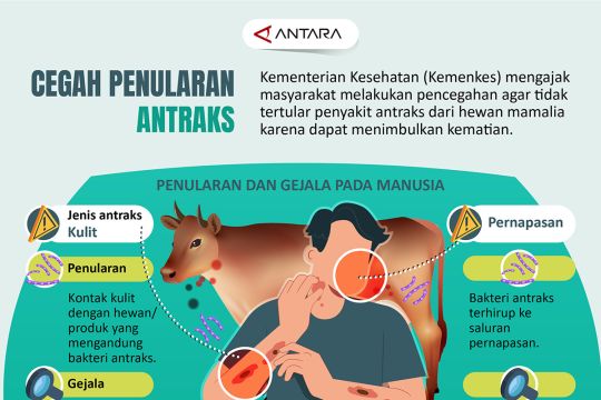 Cegah penularan antraks