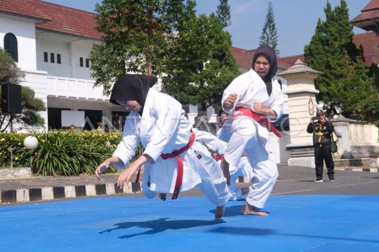 Unjuk keterampilan atlet karate Page 2 Small