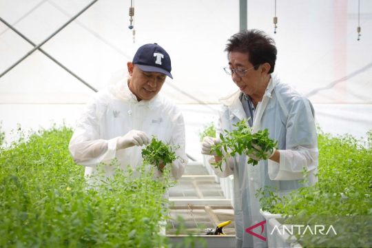 KemenKopUKM bangun kemitraan strategis petani rempah dan usaha besar