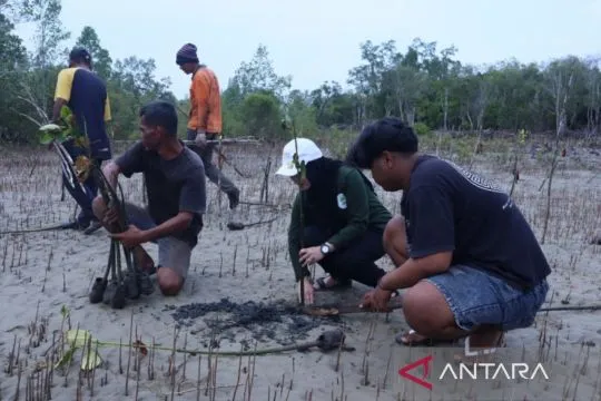 Kaltim punya 110.887 hektare lahan untuk rehabilitasi mangrove