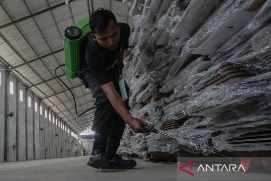Cara jitu hilangkan rayap dari pintu kayu secara alami