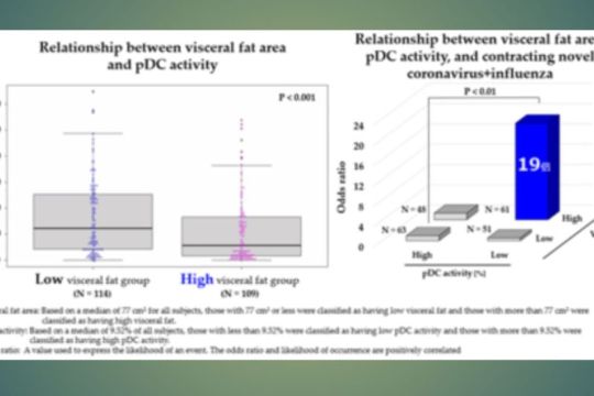 Penemuan Pertama di Jepang*1 tentang Lemak Perut dan Aktivitas Imunitas Berdasarkan Penelitian Kirin Holdings Bersama Kao