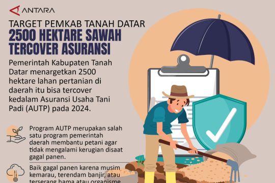 Target Pemkab Tanah Datar 2500 hektare sawah tercover asuransi