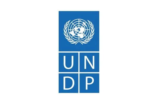 UNDP: AI untuk tujuan militer dapat akibatkan korban jiwa massal
