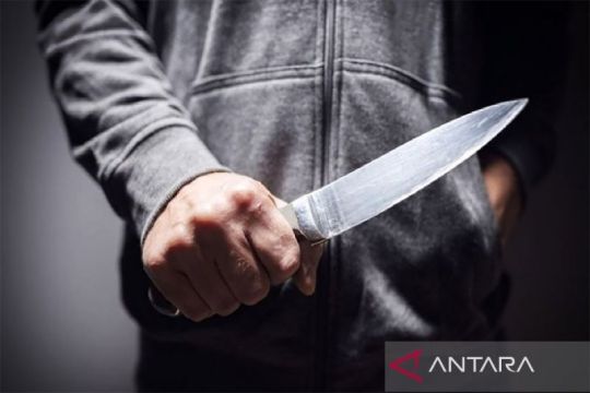 Pembunuh yang idap skizofrenia di Jakbar divonis penjara 16 tahun