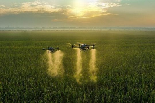 DJI Agras T50 dan T25 Memperluas Kapabilitas Perlindungan Tanaman dari Atas Udara