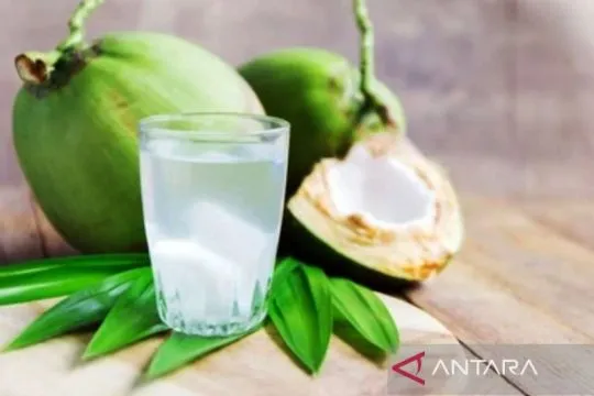Bisa turunkan tekanan darah, ini 10 manfaat air kelapa muda