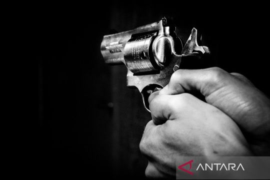 JDP kecam penembakan pilot helikopter asal Selandia Baru di Mimika