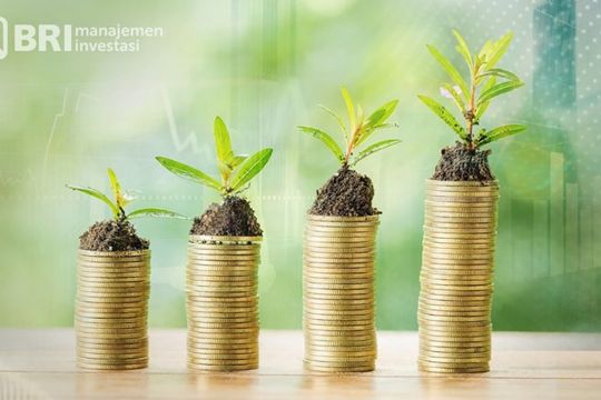 Nilai dana kelolaan BRI-MI naik hampir 7 persen per akhir Mei 2024
