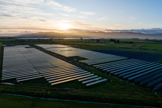 Trinasolar Rayakan Kesuksesan PLTS Rangitaiki: Pionir "Agrivoltaics" di Selandia Baru