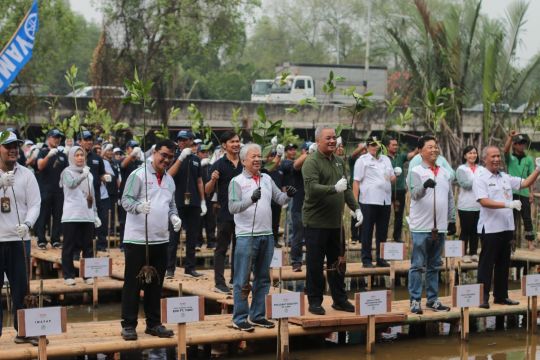 Yamaha Motor Indonesia tanam mangrove bantu reduksi emisi karbon