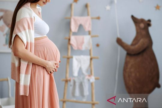 Waspada produk rumahan picu risiko pada kehamilan 