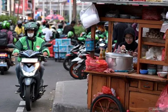 Pengamat soroti fleksibilitas jika status pengemudi ojol diformalkan