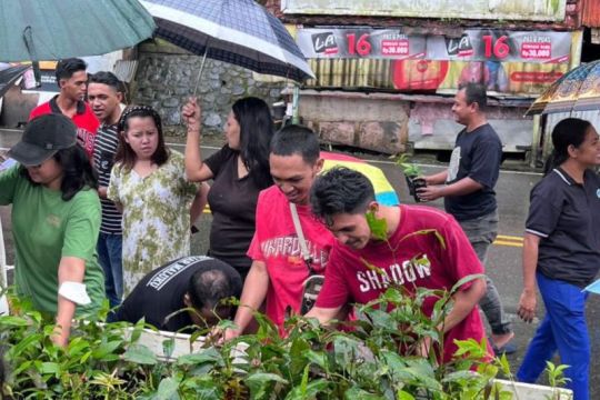 MCC bagi 500 pohon gratis untuk masyarakat Ambon