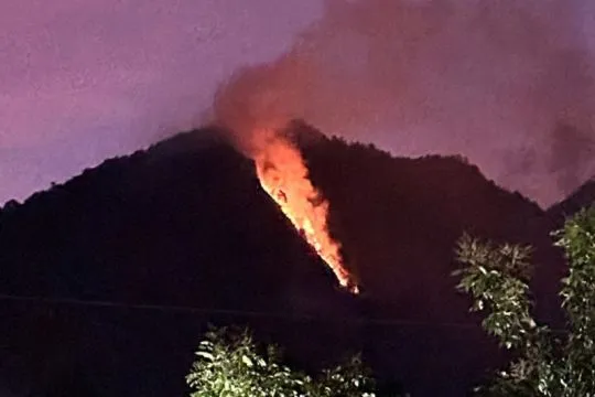 Hutan lereng Gunung Telomoyo di Kabupaten Semarang dilanda kebakaran