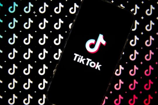Bukan cuma video, Snaptik bisa download sound TikTok jadi MP3