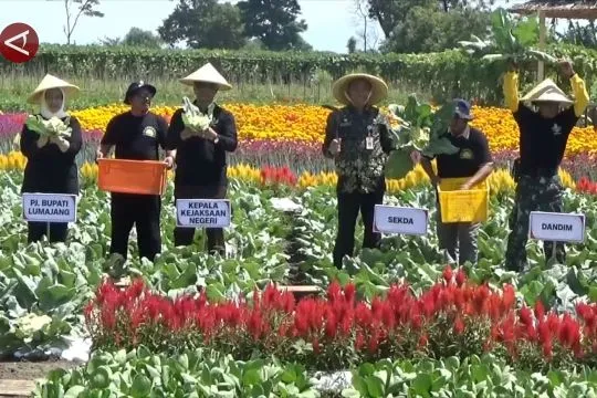 Mengangkat potensi wisata dan pertanian Lumajang melalui Gerbas Tani