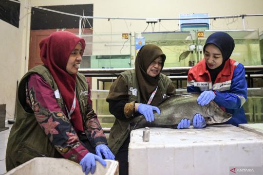 Pertamina perkuat riset energi dan pangan lewat PFsains