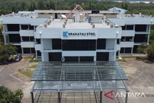 Pakar: Kebijakan GSH Krakatau Steel bentuk apresiasi pada karyawan