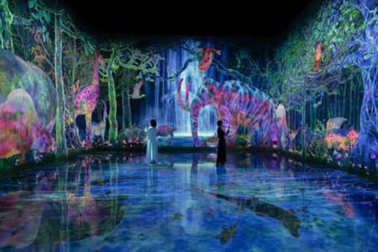 teamLab Planets TOKYO Memperkenalkan Seluruh Area Baru yang Lebih Luas yang Menampilkan “Catching and Collecting Forest” dan “Athletics Forest”. Dibuka pada tanggal 22 Januari