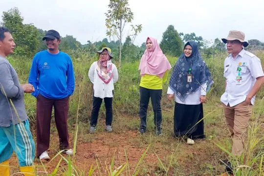 Bintan jadi lokasi pengembangan padi gogo dukung swasembada pangan