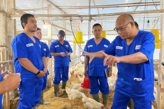 PT Berdikari komitmen dukung ketahanan pangan hingga MBG