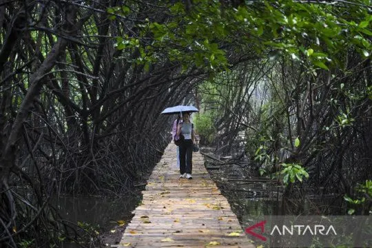 Rekomendasi tempat wisata di Jakarta Utara yang wajib Anda kunjungi