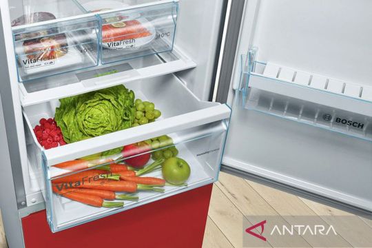 Kulkas mengganggu dengan suara berisik? Ini 7 cara untuk mengatasinya