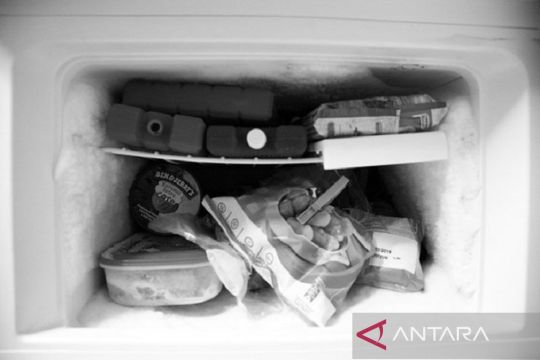 5 cara efektif cegah bunga es menumpuk di kulkas