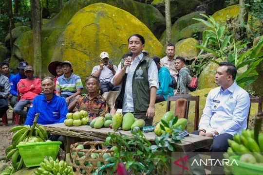 Menhut segel 29 bangunan ilegal di kawasan hulu DAS Bekasi