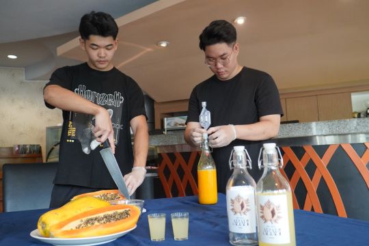 Mahasiswa PCU olah pepaya jadi wine bernilai ekonomis