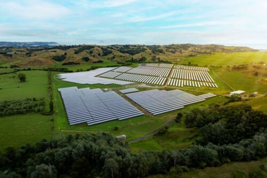 Trinasolar dan Lodestone Kembangkan Proyek Pembangkit Tenaga Surya Terbaru dengan Konsep "Agrivoltaic" di Selandia Baru