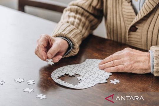 Studi: Produk susu tinggi lemak terkait risiko demensia lebih rendah