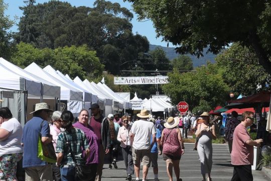 Ekspor "wine" California anjlok di tengah ketegangan perdagangan