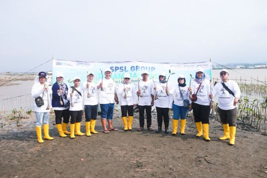 Wujudkan dekarbonisasi, SPSL tanam mangrove di wilayah kerja