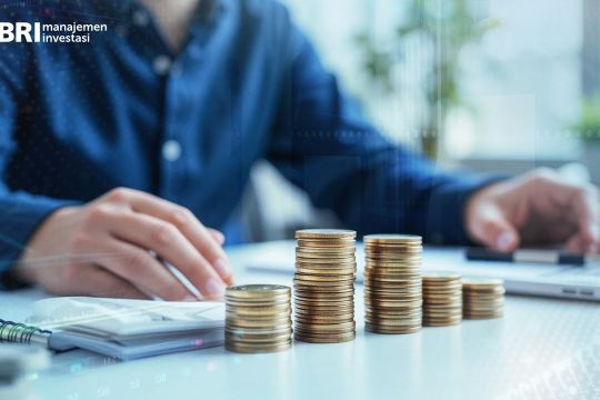 Ini dua produk reksa dana unggulan BRI-MI untuk investasi jangka panjang