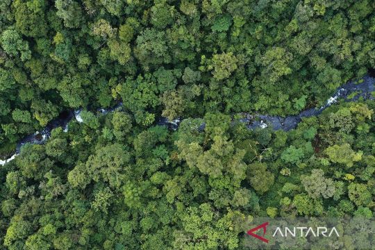 Perhutani manfaatkan AI guna percepat transformasi digital