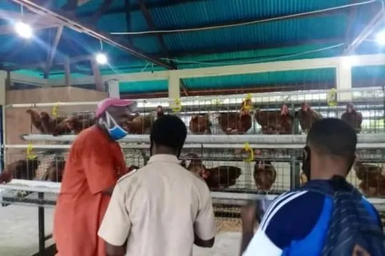 Menyelaraskan pendidikan vokasi dengan kebutuhan dunia kerja di Papua