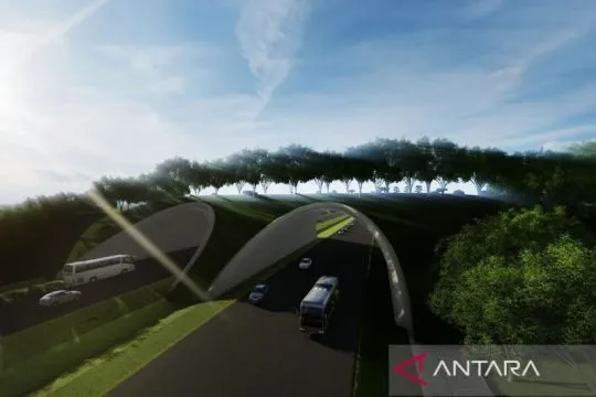 Waskita Karya bangun jembatan satwa di sekitar Tol IKN Seksi 3B