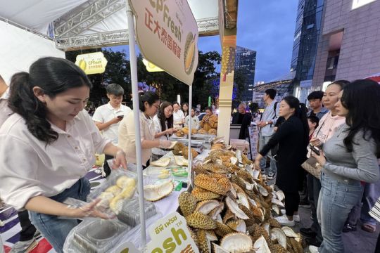 Kunming di China gelar Festival Thailand