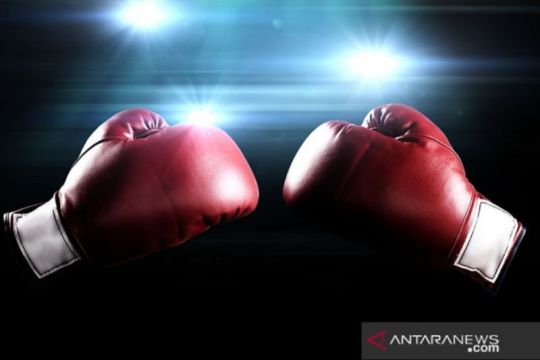 WBO perintahkan penawaran hadiah tarung berat ringan Smith vs Fress