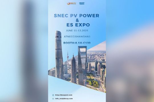 Desay Battery Luncurkan Berbagai Solusi Penyimpanan Energi Inovatif di SNEC PV+ Expo, Lansir Kemitraan dengan Demir Enerji