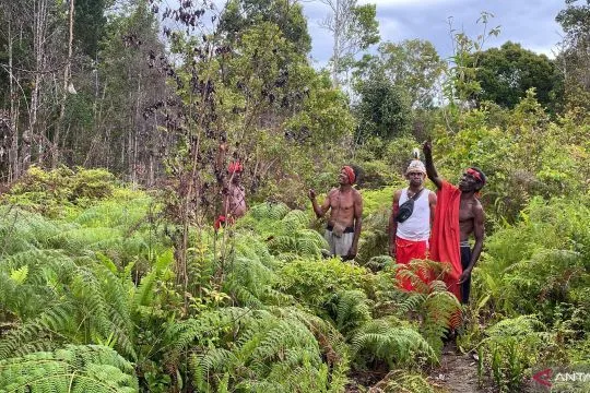 Kemenhut sudah tetapkan 164 MHA dengan 345.257 hektare hutan adat
