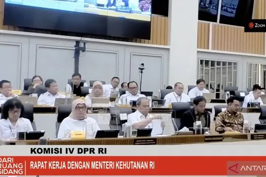 Kemenhut fokuskan hutan untuk pangan hingga hilirisasi pada 2026