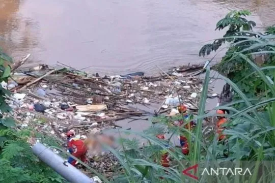 Mayat di Kali Ciliwung Pancoran diduga rusak karena dimakan biawak